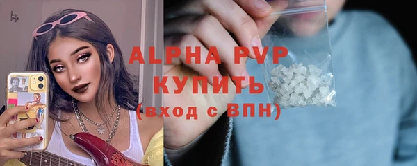 спайс Вяземский
