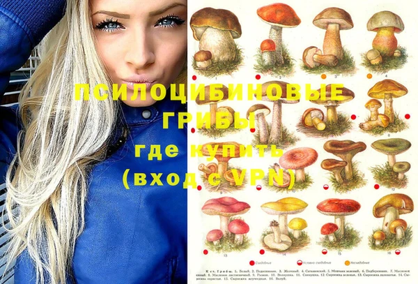 a pvp Вязьма