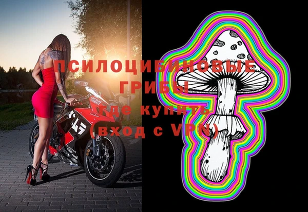 спайс Вяземский