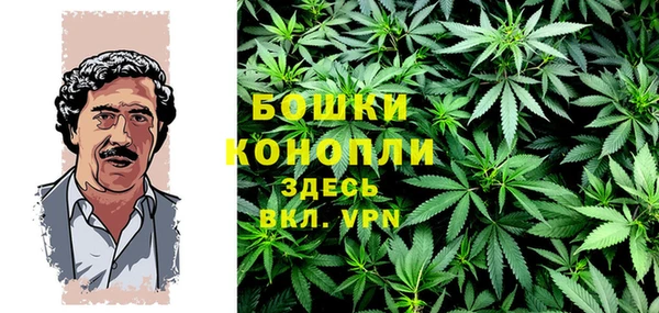 спайс Вяземский