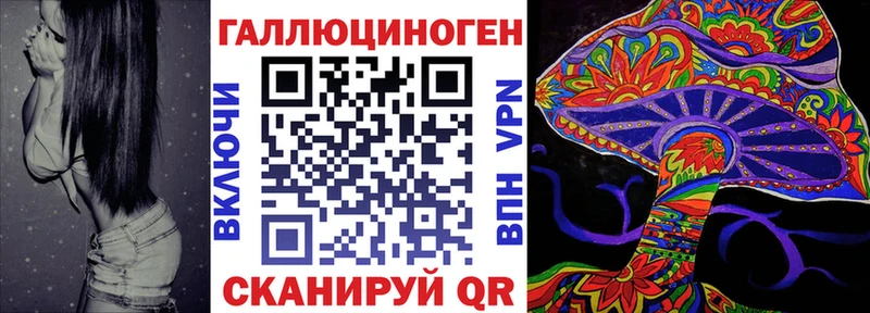 omg вход Котово Галлюциногенные грибы Psilocybe